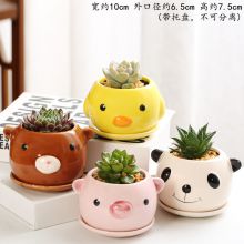 多肉花盆套装组合陶瓷大号清仓肉肉清仓包邮绿萝多肉植物特价花盆